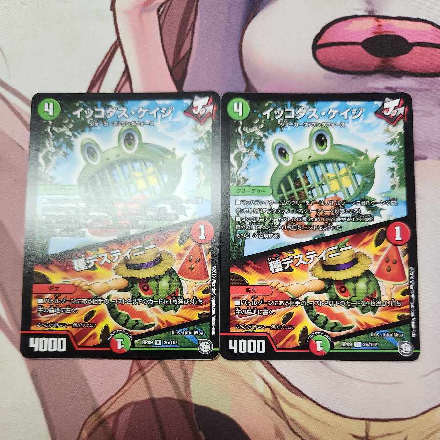 イッコダス・ケイジ｜種デスティニー