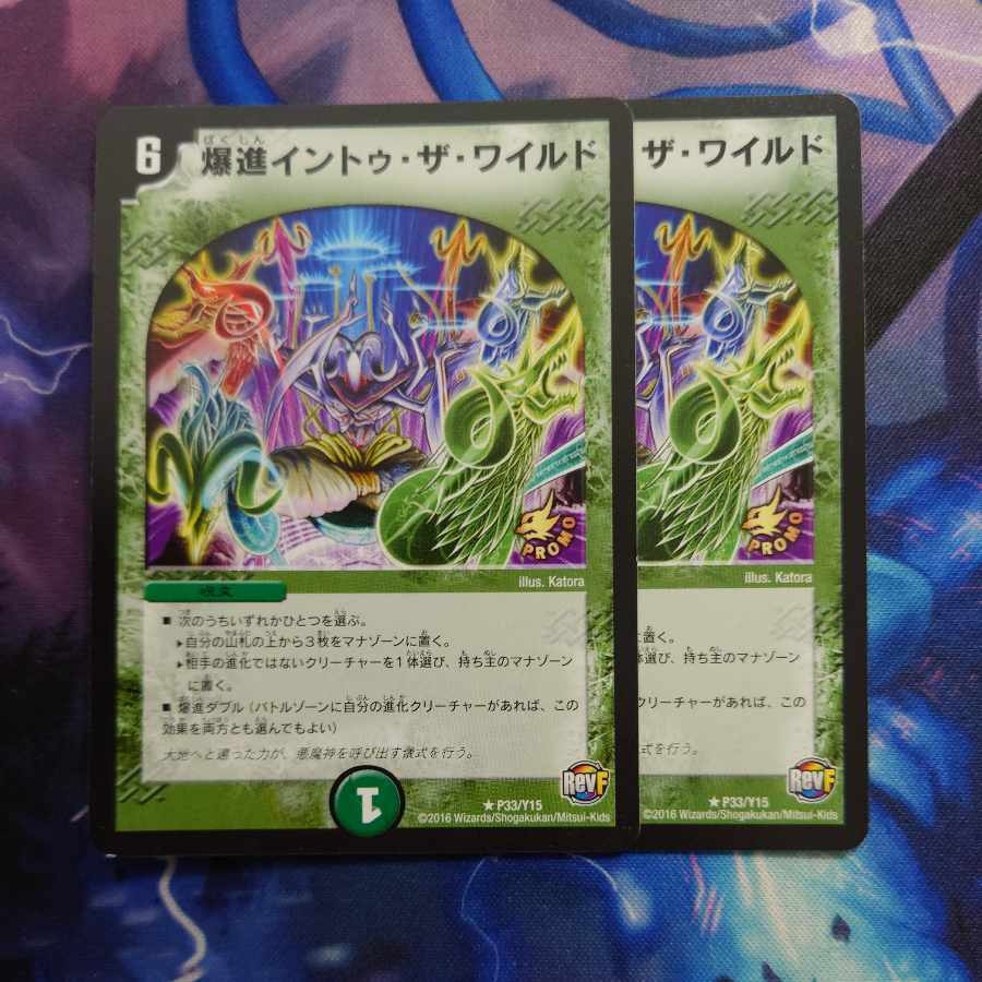 爆進イントゥ・ザ・ワイルド