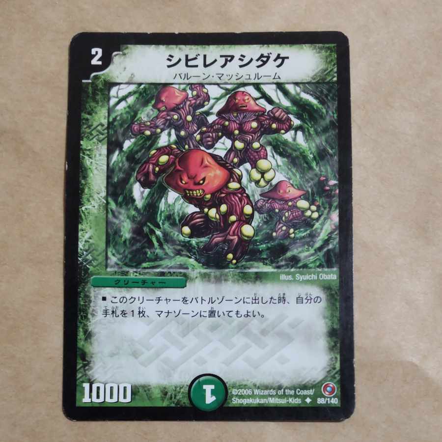 シビレアシダケ