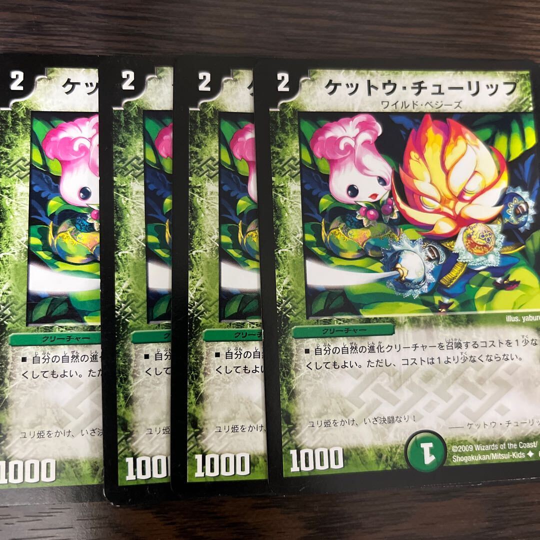 ケットウ・チューリップ