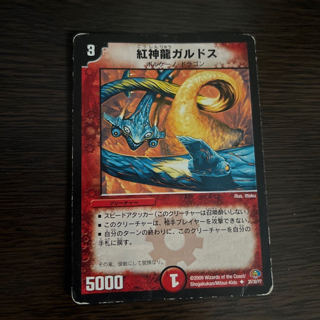 紅神龍ガルドス