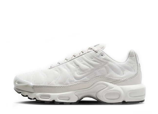 ナイキ ウィメンズ エアマックスプラス "プラチナムティント/ホワイト"