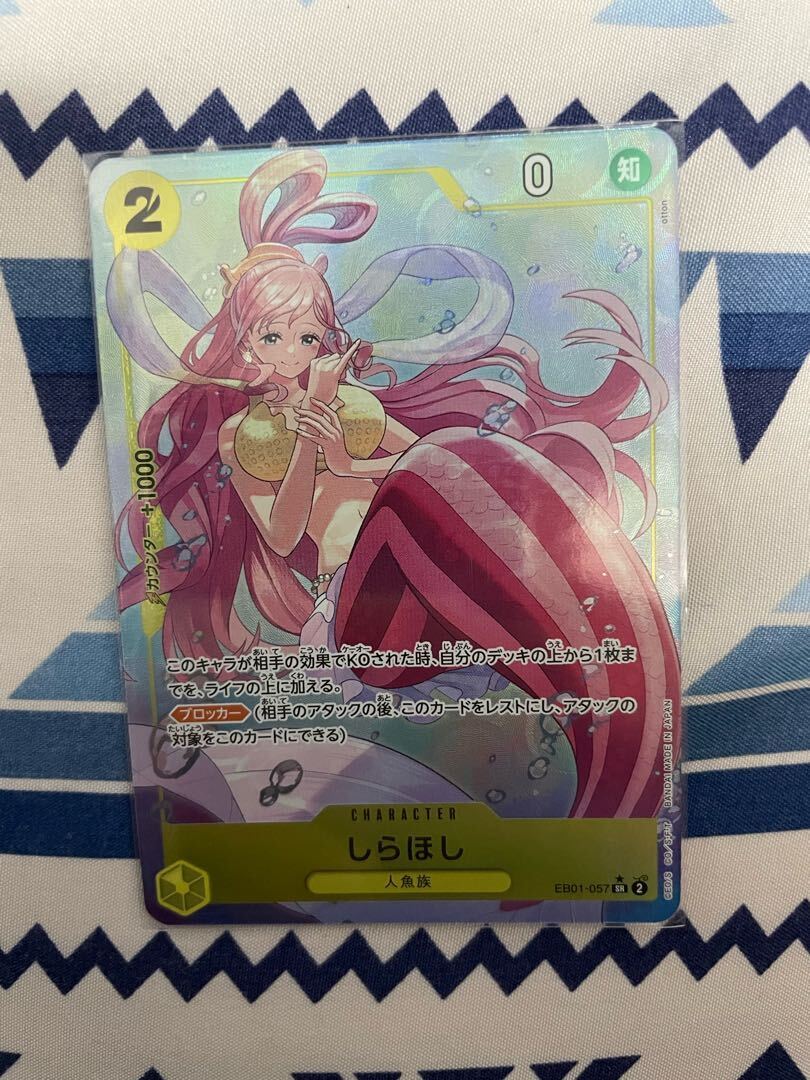 【BGS10】しらほし