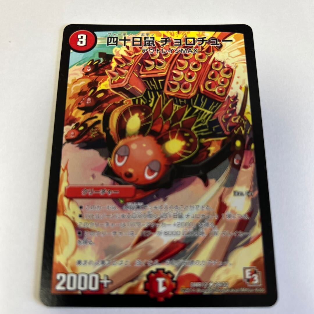 四十日鼠 チョロチュー