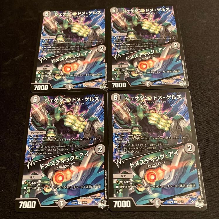 シェケダン・ドメ・ゲルス｜ドメスティック・アイ