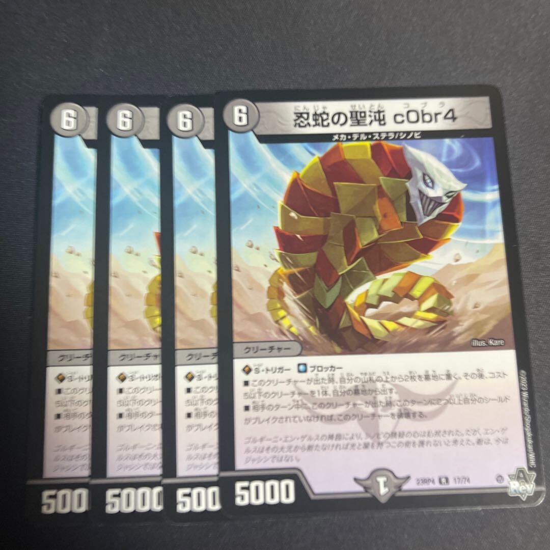 忍蛇の聖沌 c0br4