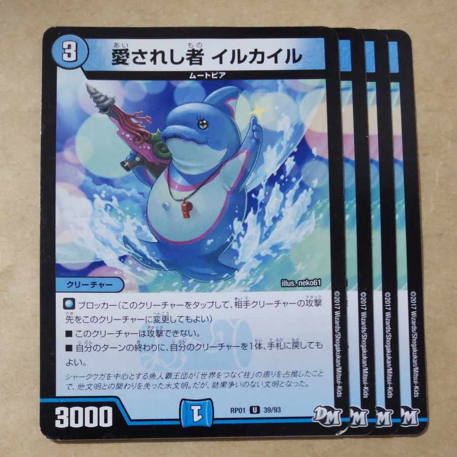 愛されし者 イルカイル