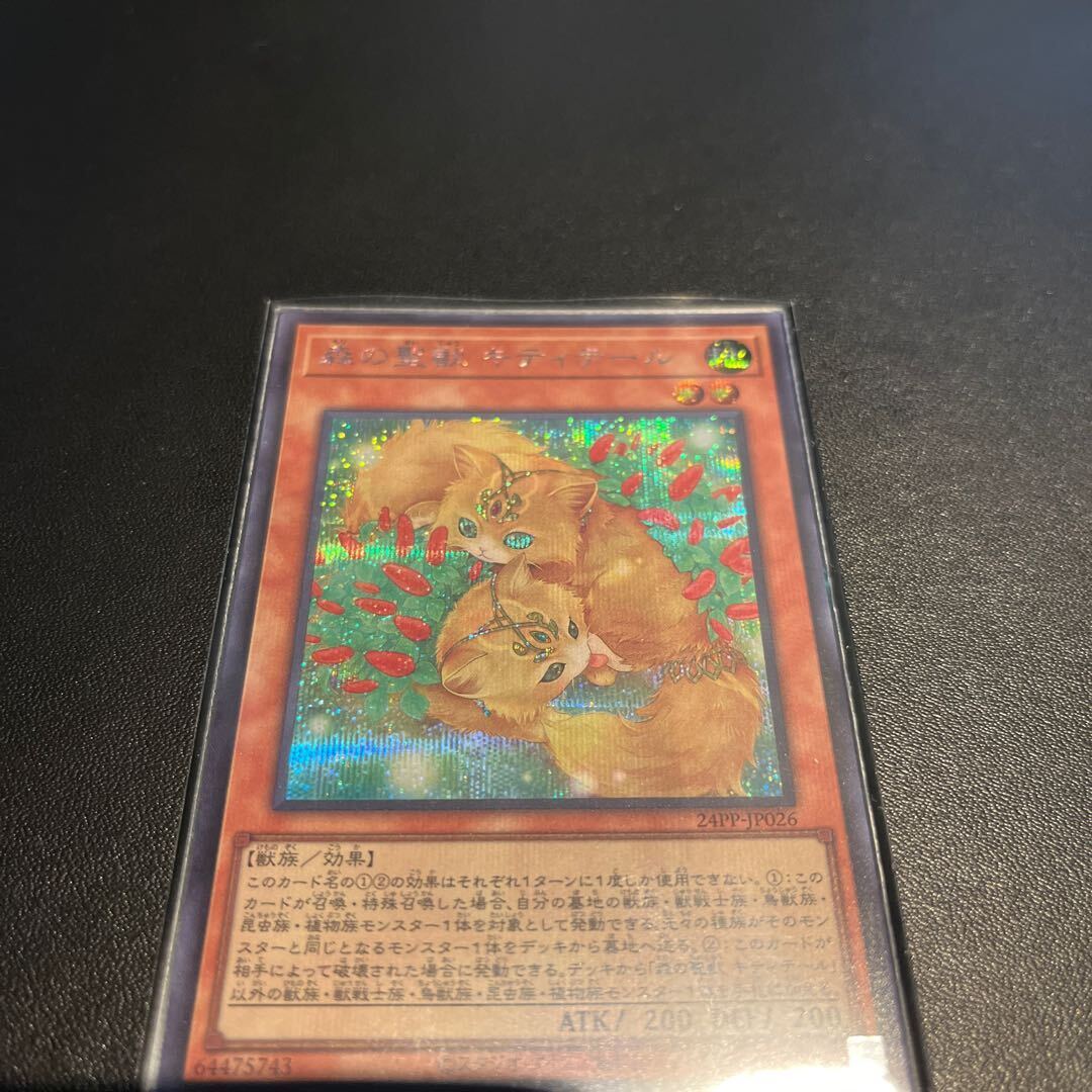 森の聖獣 キティテール