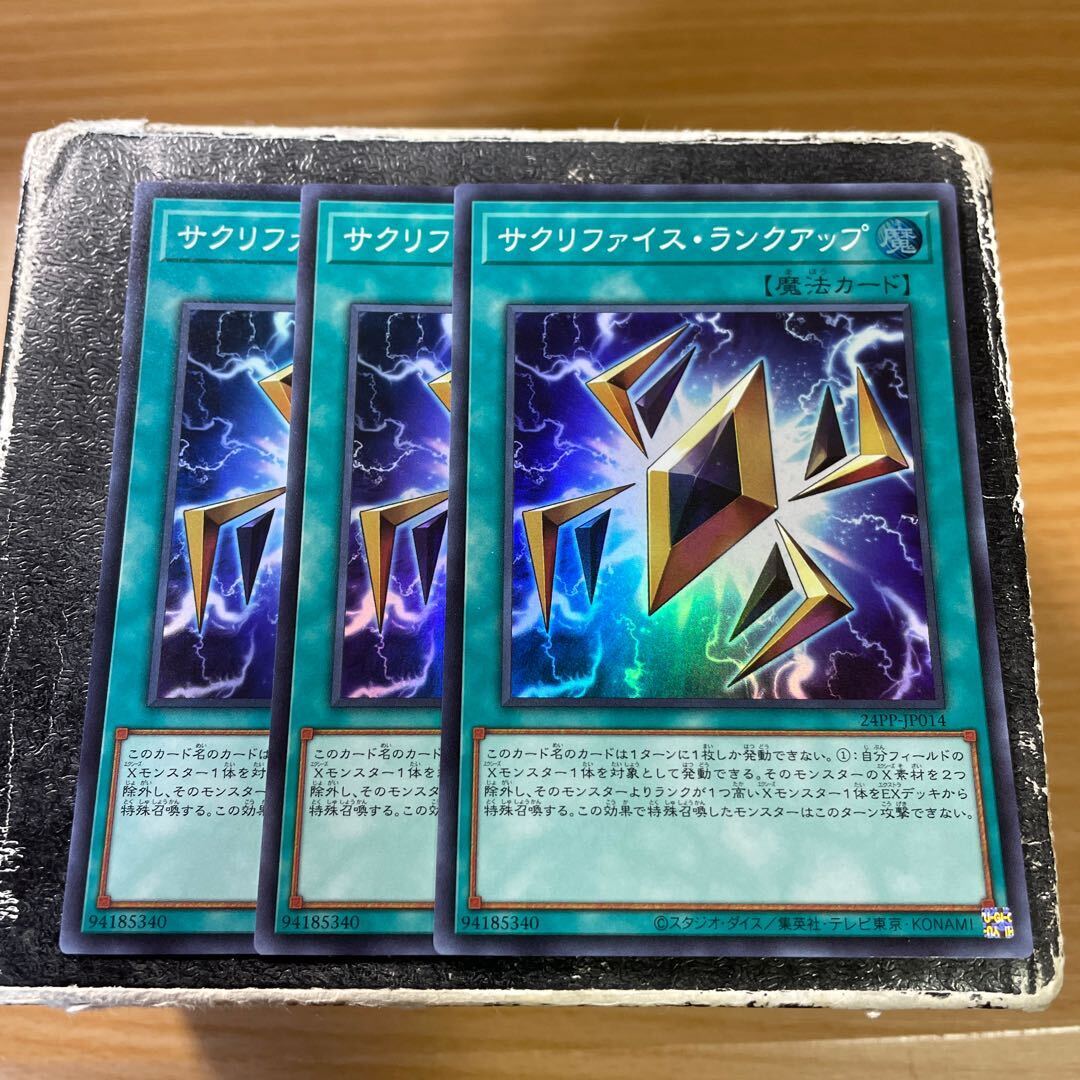 サクリファイス・ランクアップ