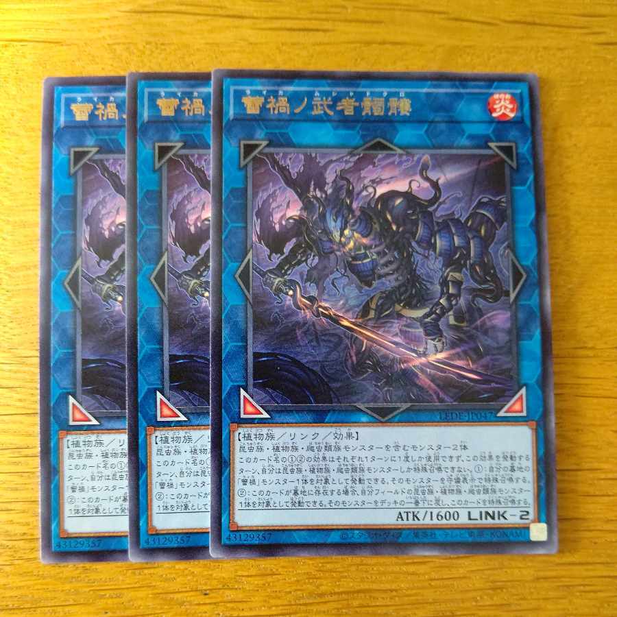 蕾禍ノ武者髑髏