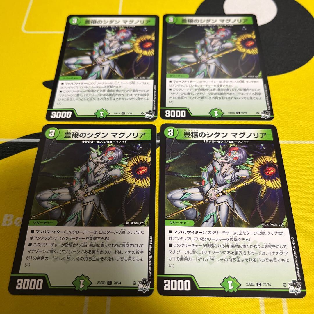 豊穣のシダン マグノリア