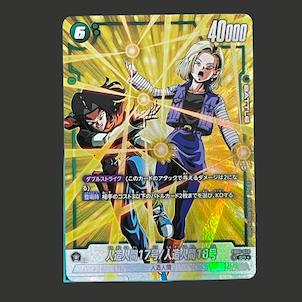 人造人間17号/人造人間18号(パラレル)