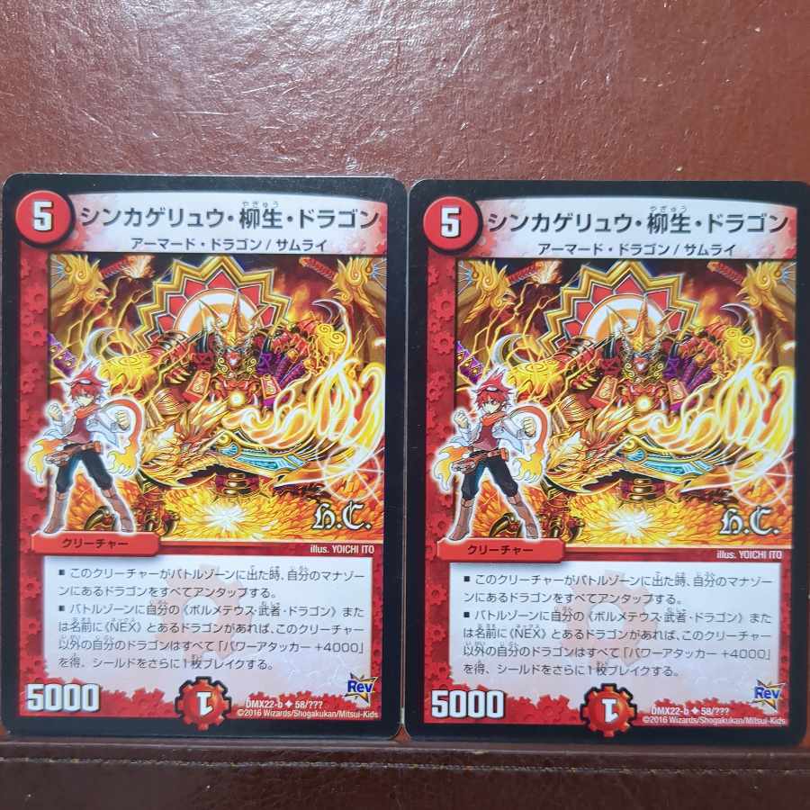 シンカゲリュウ・柳Life・ドラゴン(H.C)