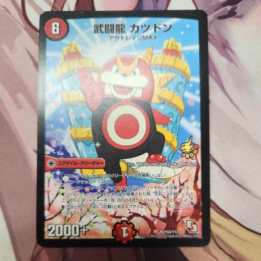 武Fighting龍 カツドン