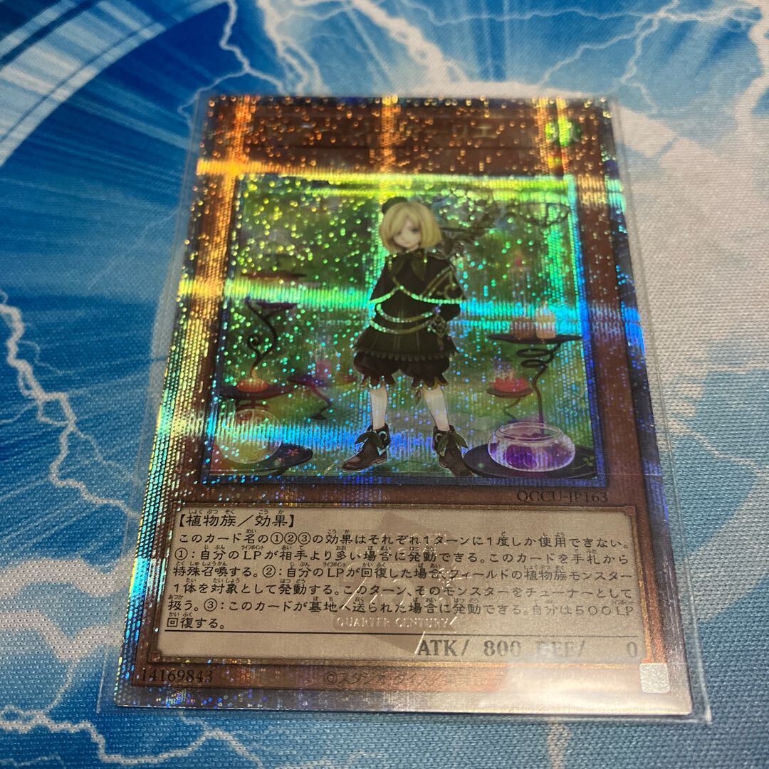 アロマージ-ローリエ