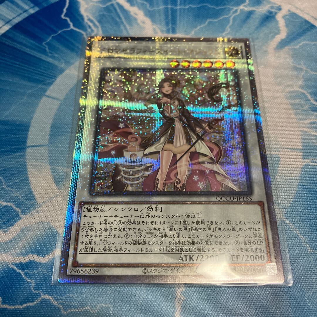 アロマセラフィ-スイート・マジョラム