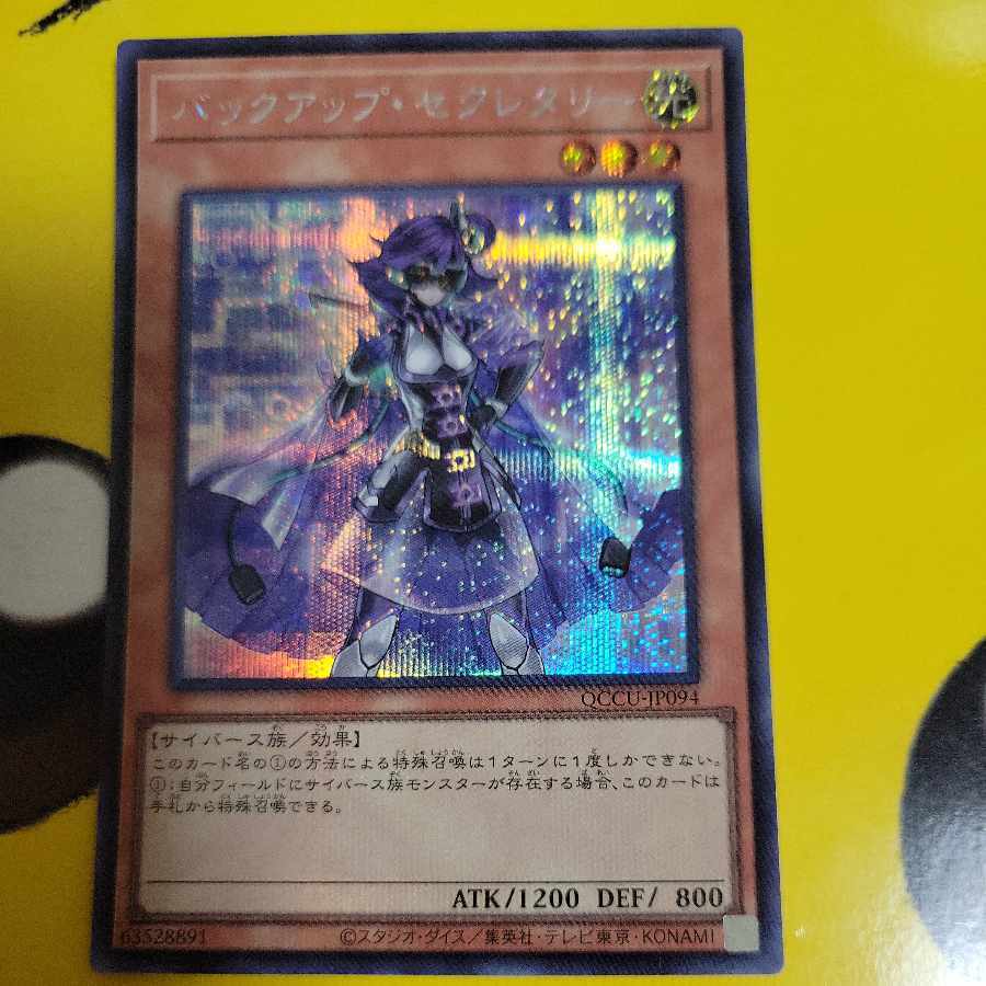 バックアップ・セクレタリー