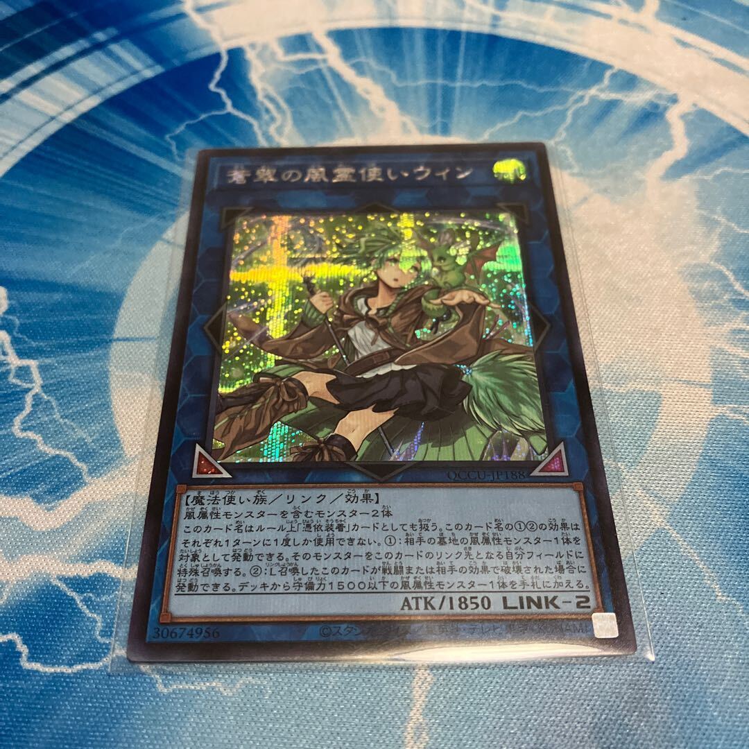 蒼翠の風霊使いウィン