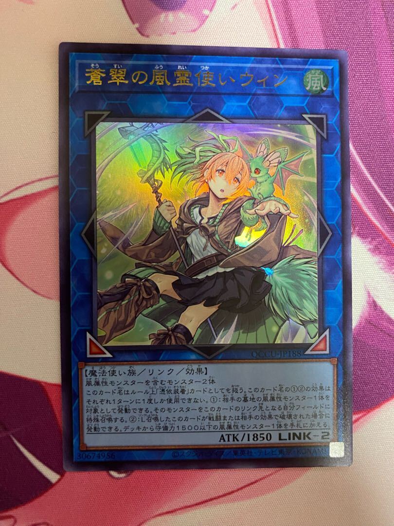 蒼翠の風霊使いウィン