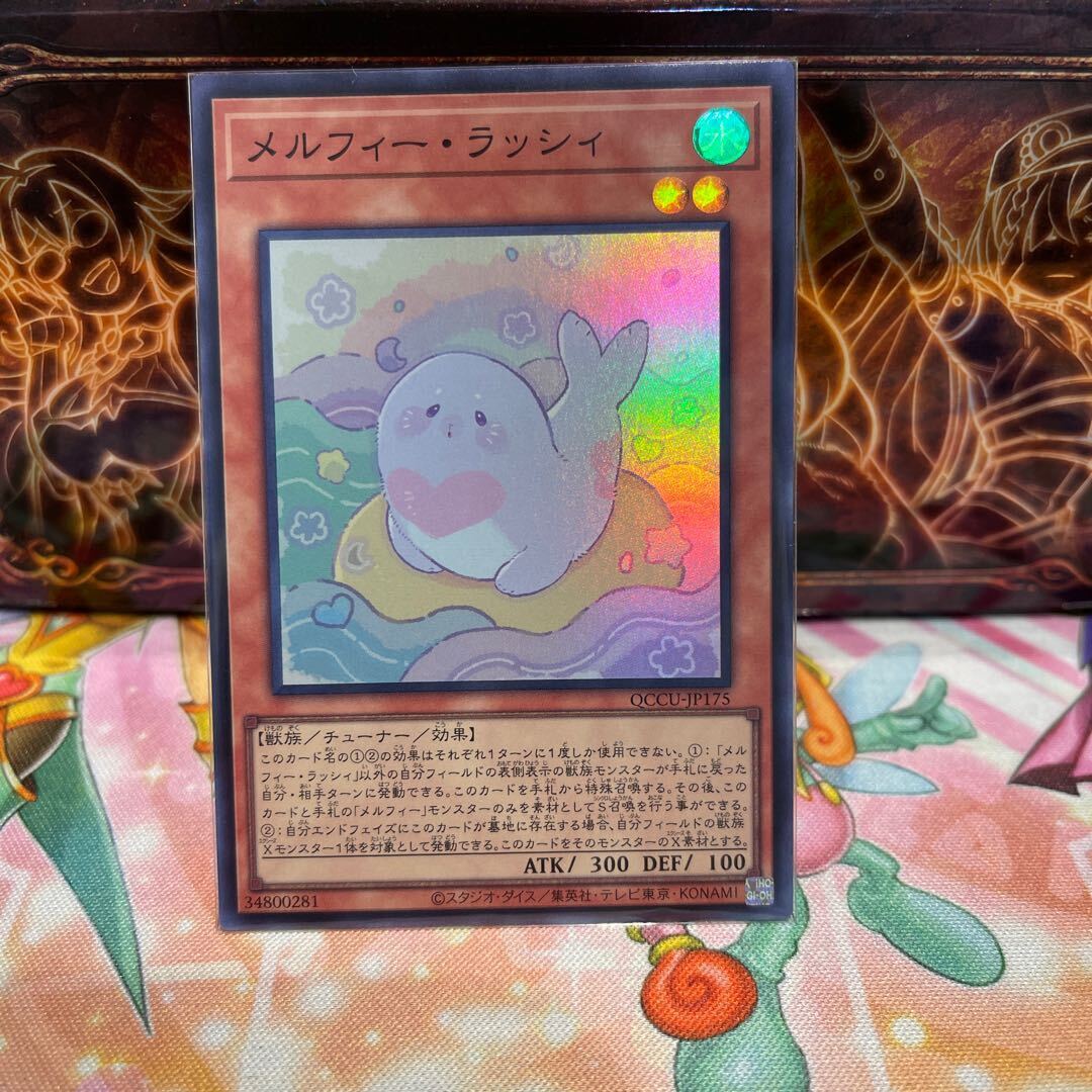 メルフィー・ラッシィ