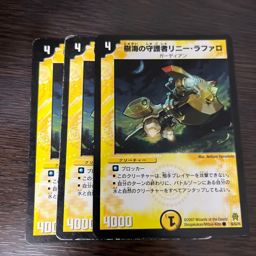 樹Umiの守護者リニー・ラファロ