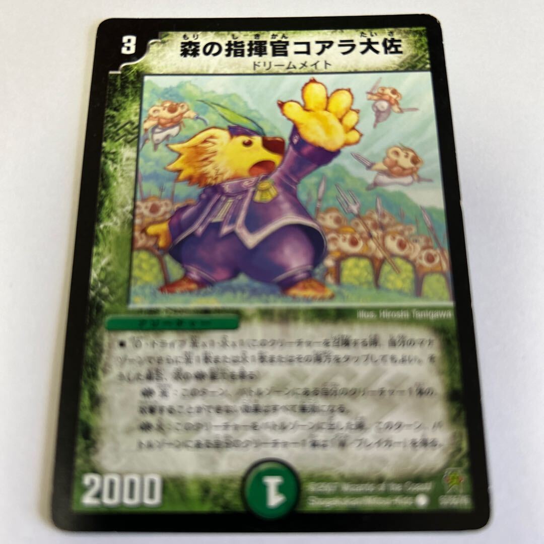 森の指揮官コアラ大佐(通常)