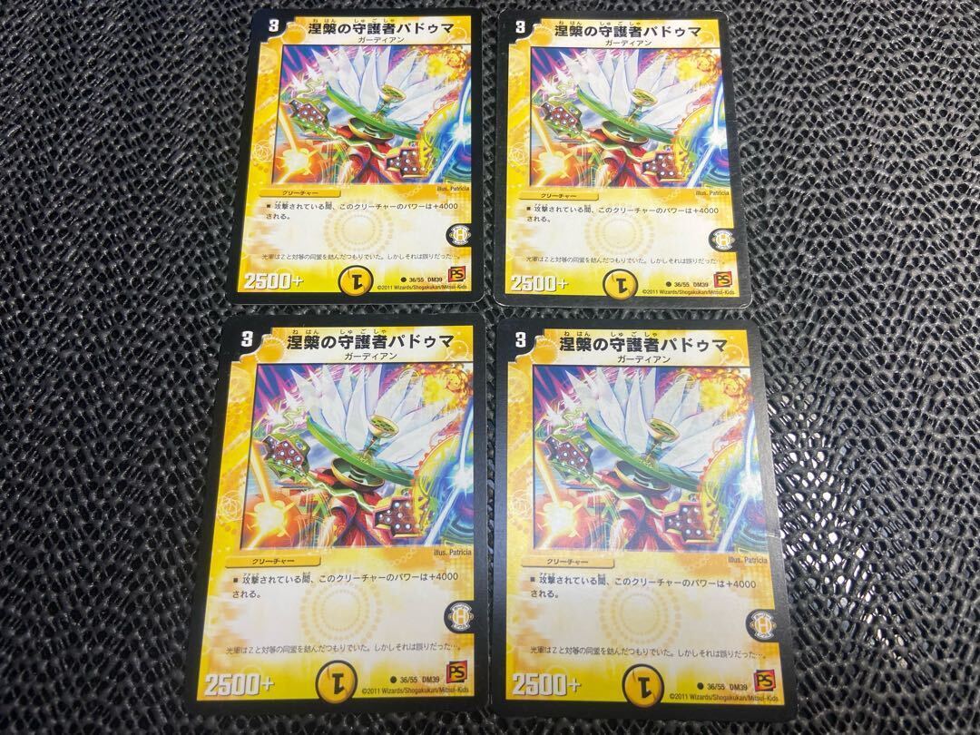 涅槃の守護者パドゥマ