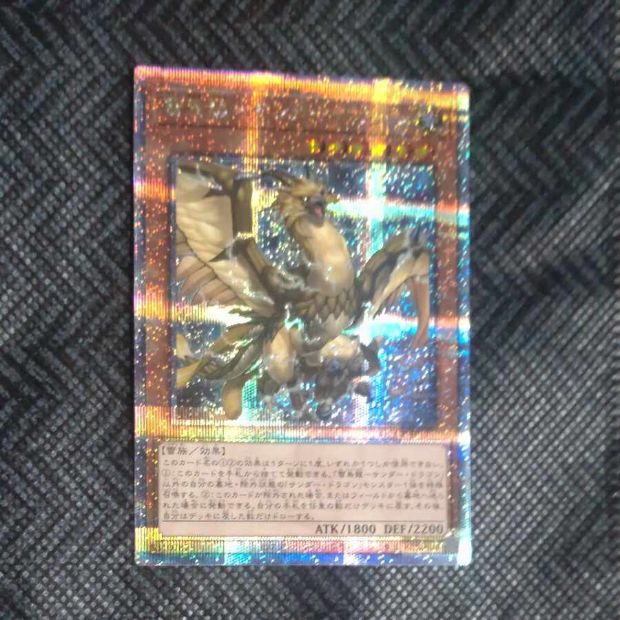 雷鳥龍-サンダー・ドラゴン