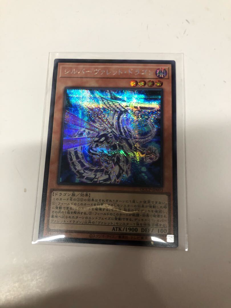 シルバーヴァレット・ドラゴン