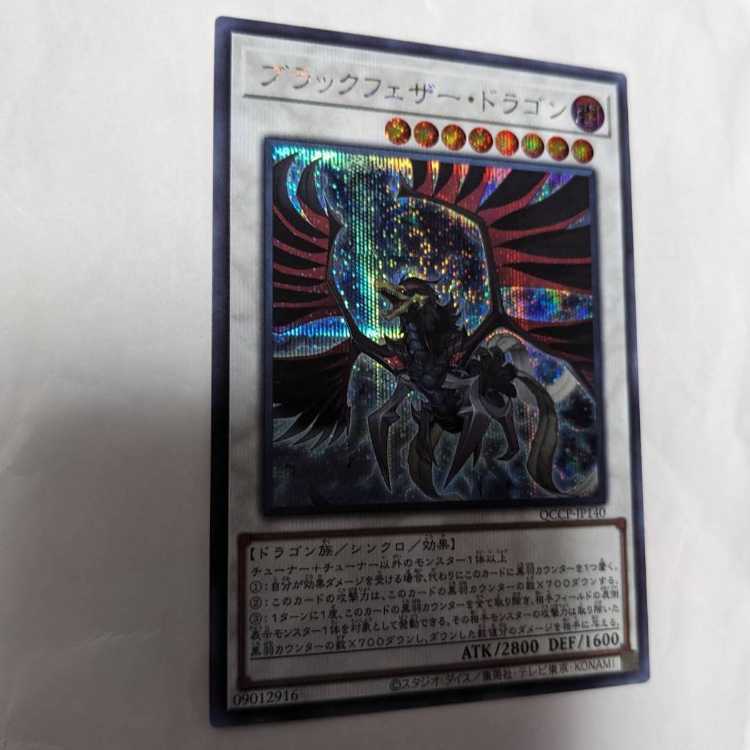 ブラックフェザー・ドラゴン