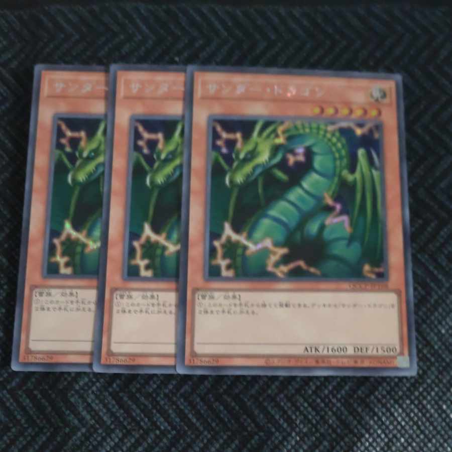 サンダー・ドラゴン