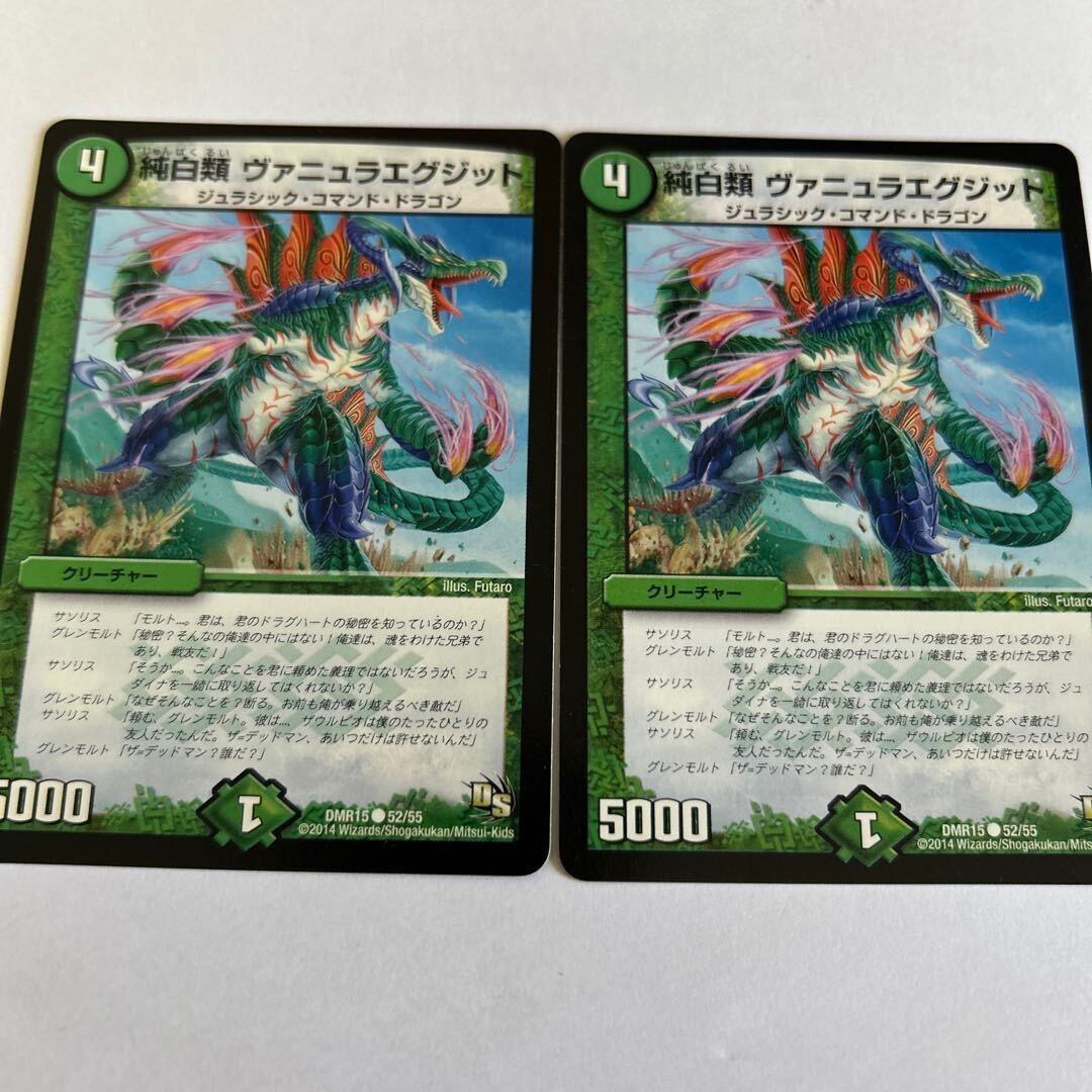 純白類 ヴァニュラエグジット