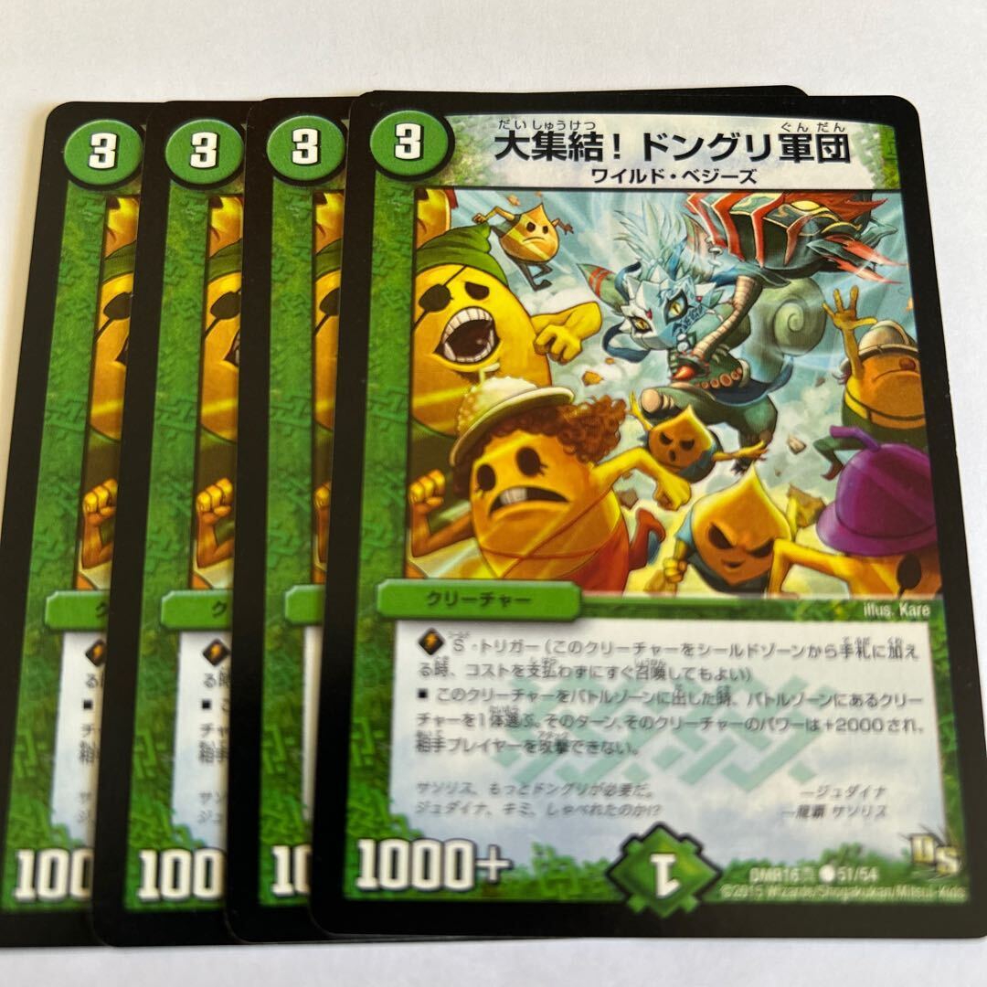 大集結!ドングリ軍団