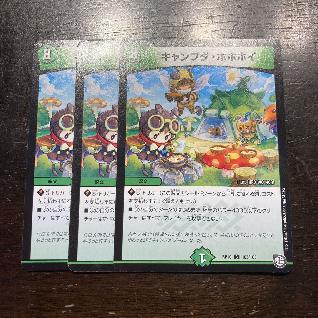 キャンプダ・ホホホイ