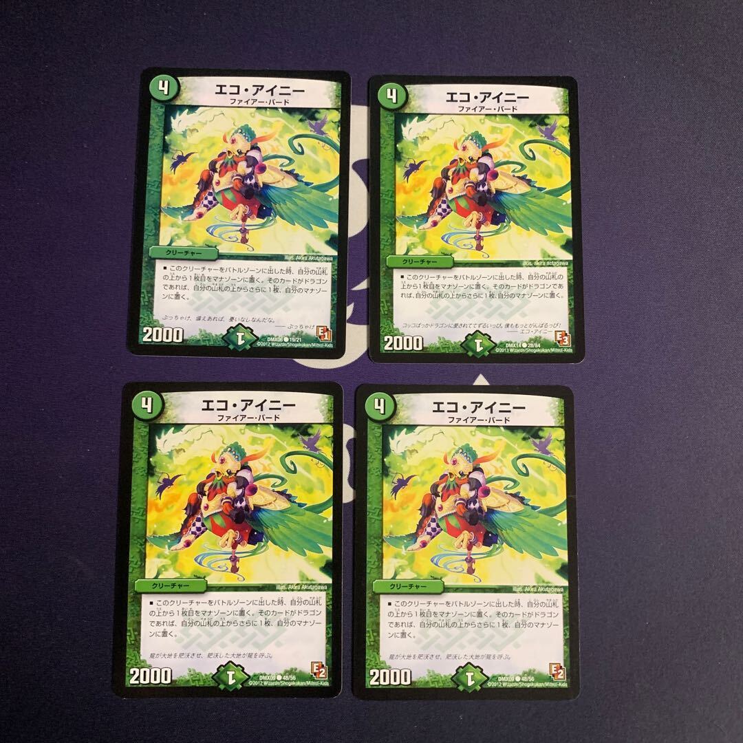 エコ・アイニー