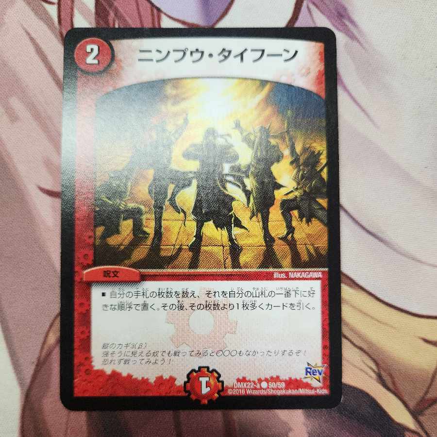 ニンプウ・Typhoon