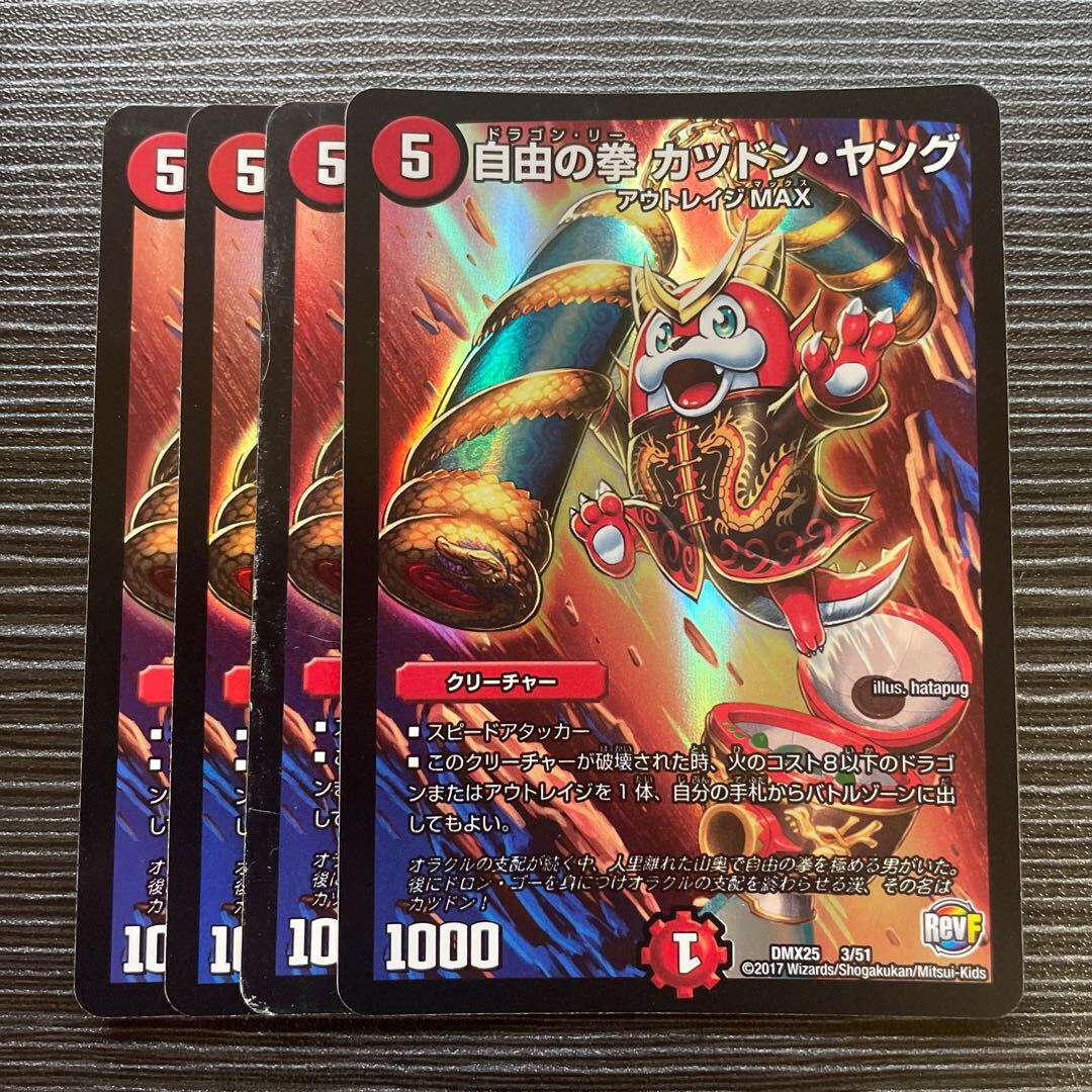 自由の拳 カツドン・ヤング