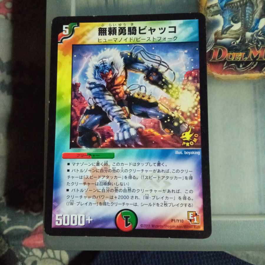 無頼勇騎ビャッコ