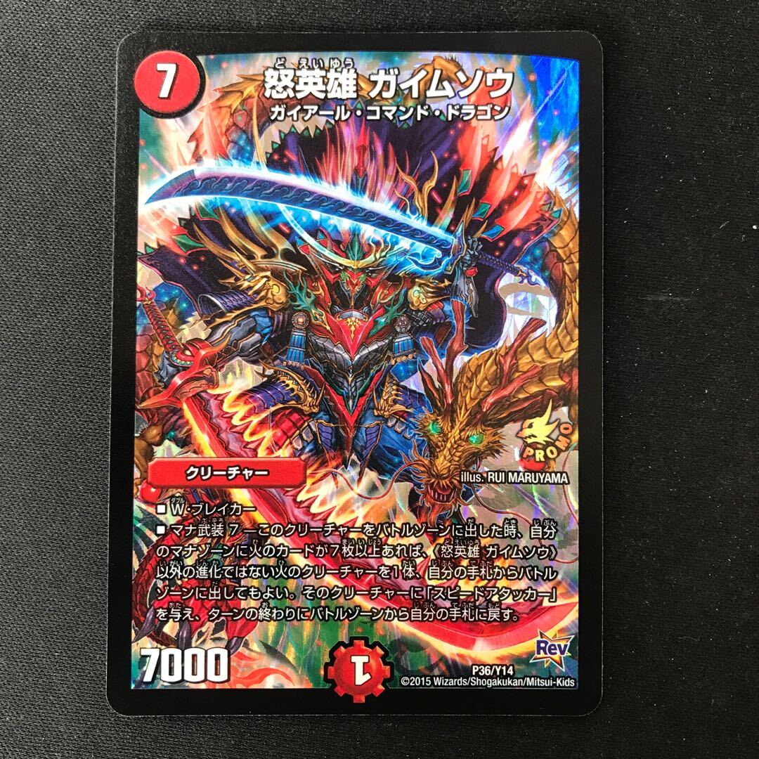 怒英雄 ガイムソウ