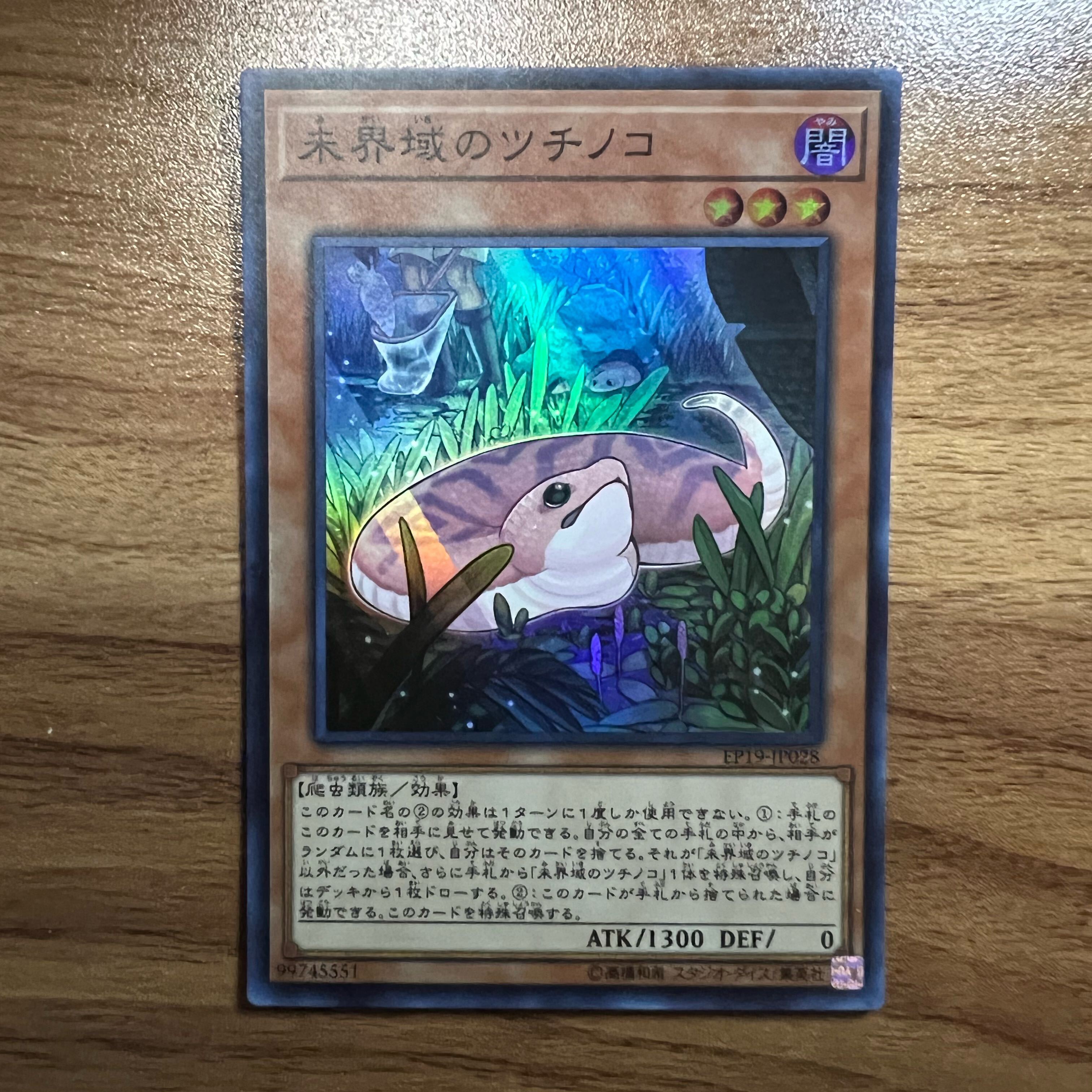 Danger!? Tsuchinoko?