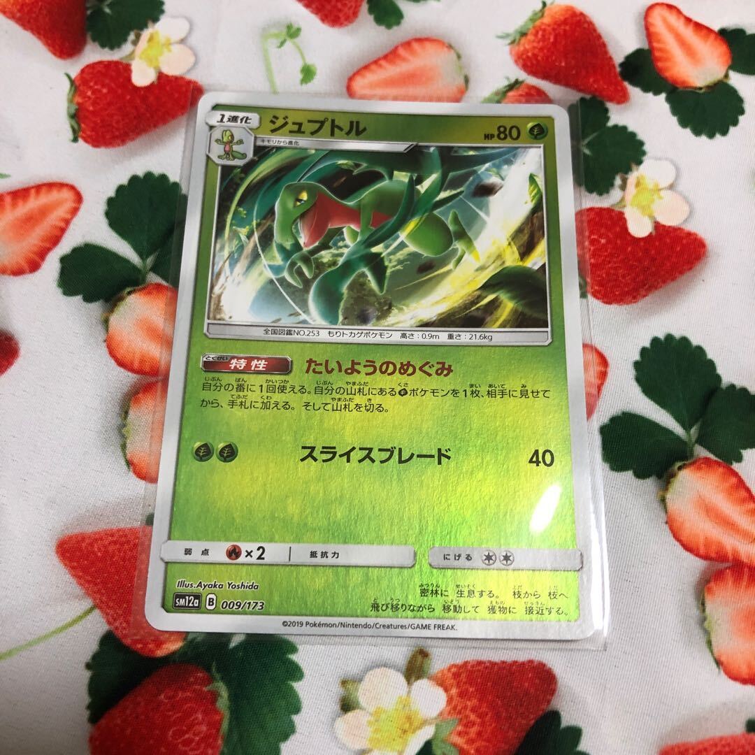 Grovyle(キラ)
