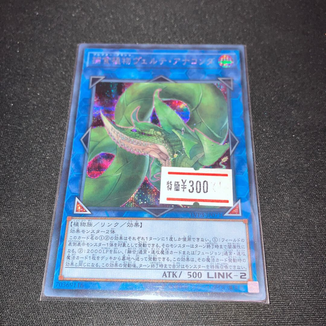 Predaplant Verte Anaconda