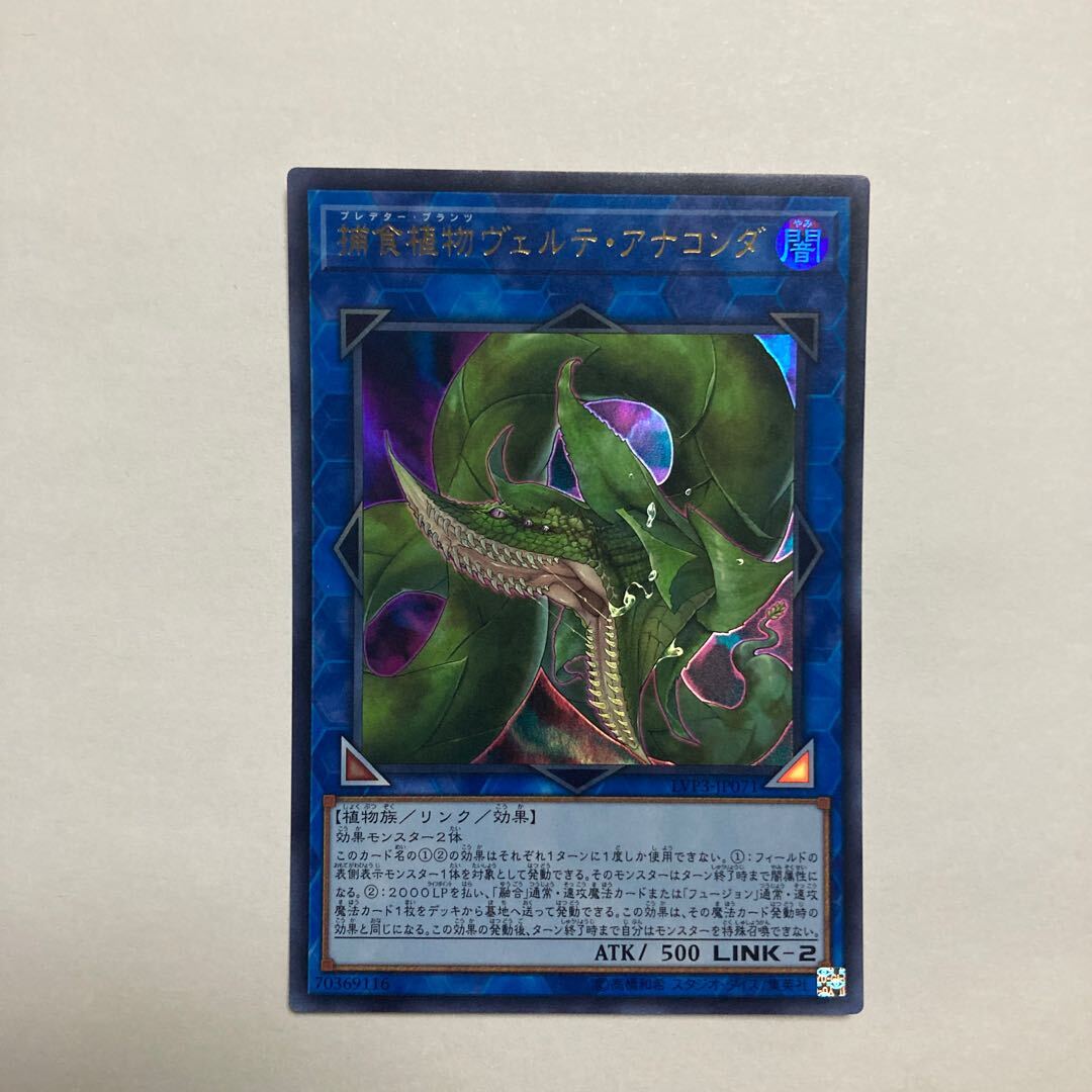 Predaplant Verte Anaconda