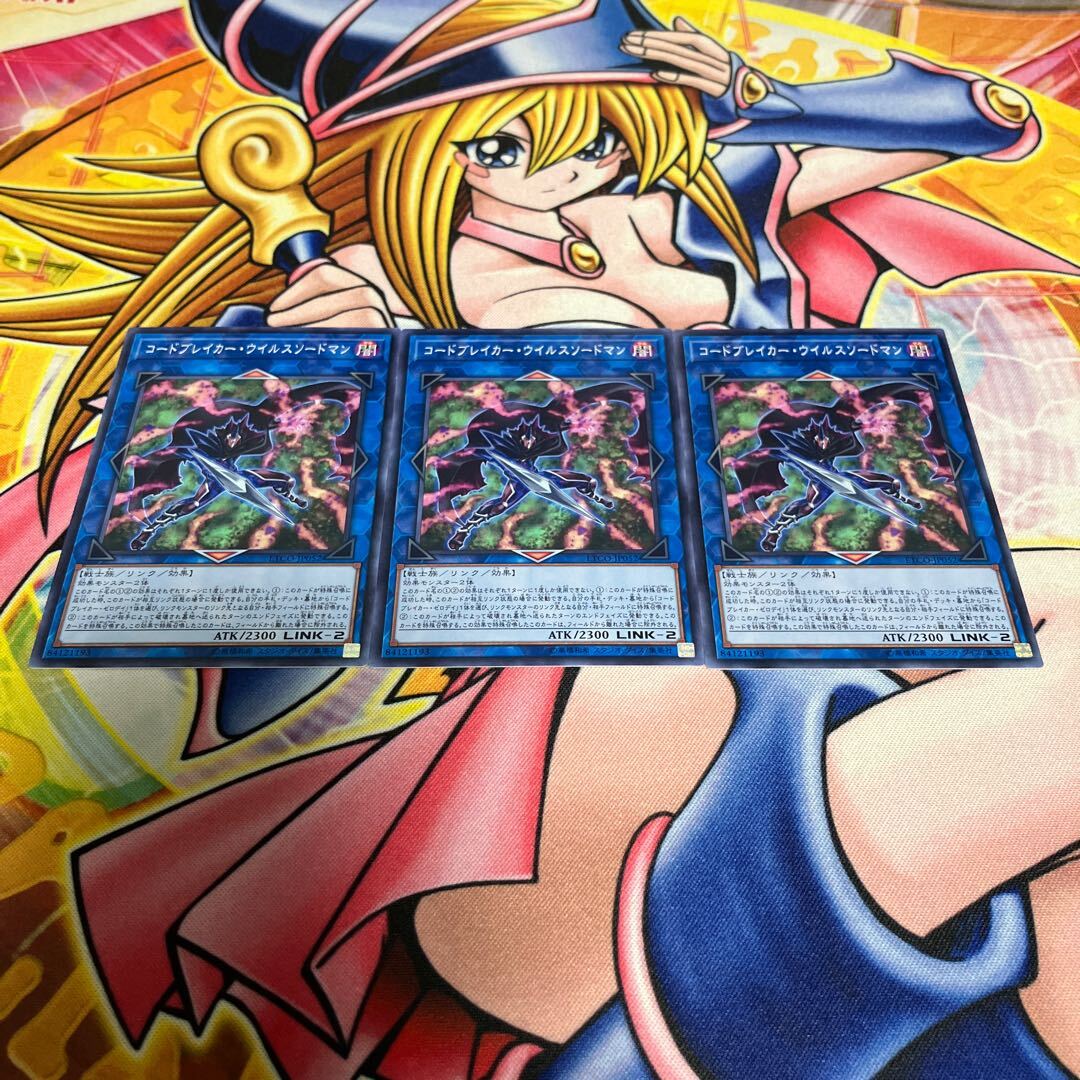 コードブレイカー・ウイルスソードマン