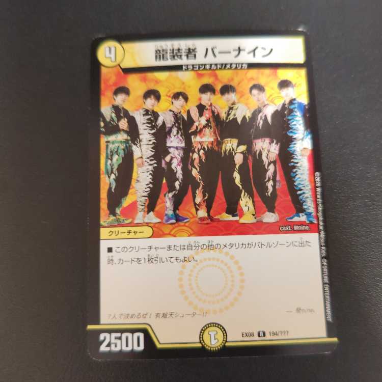 龍装者 バーナイン