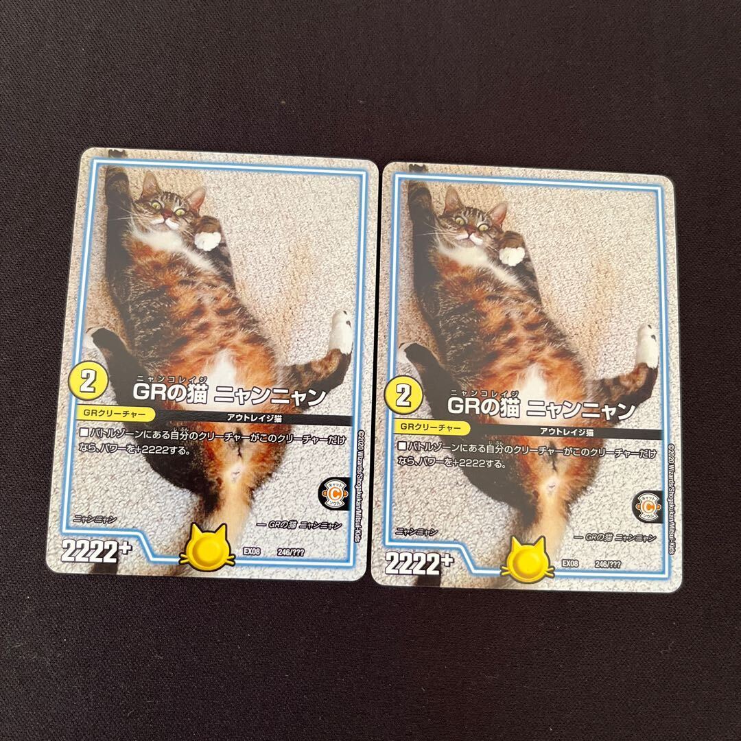 GRの猫 ニャンニャン