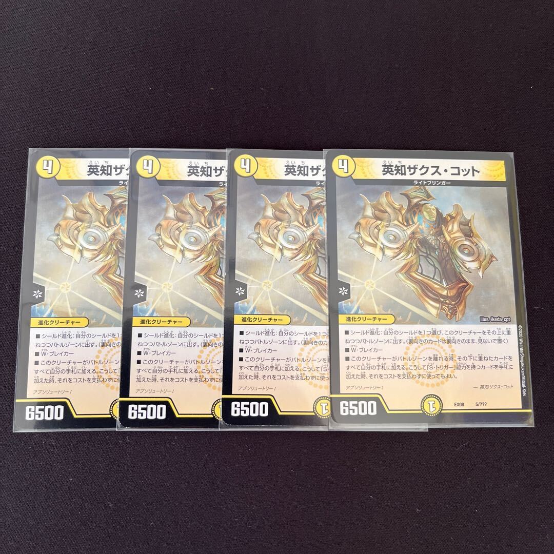 英知ザクス・コット