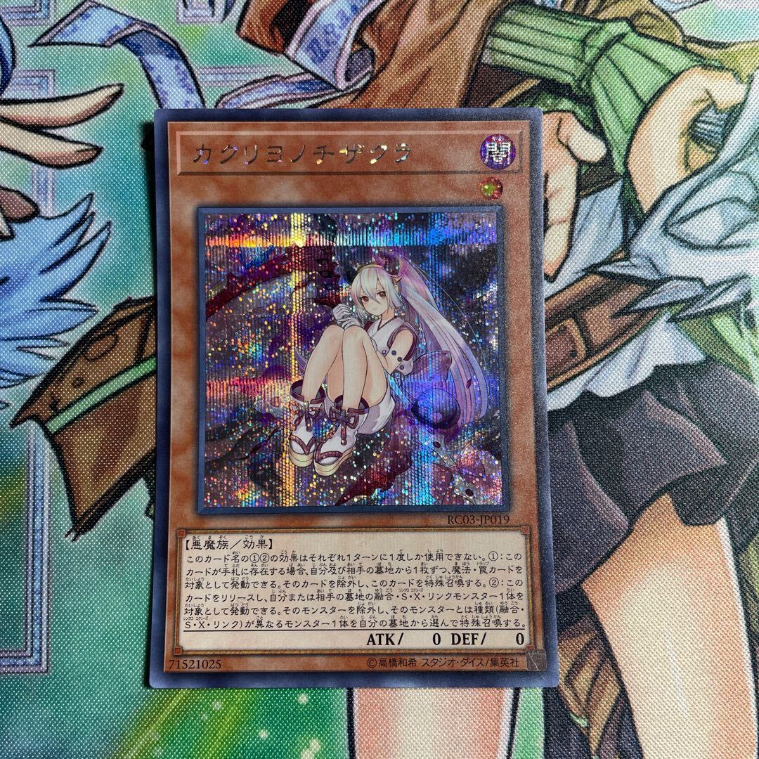 A・∀・RR」の激安通販 | magi
