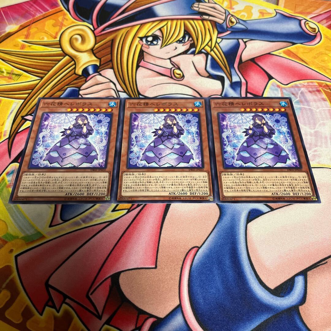 Hellebore the Rikka Fairy