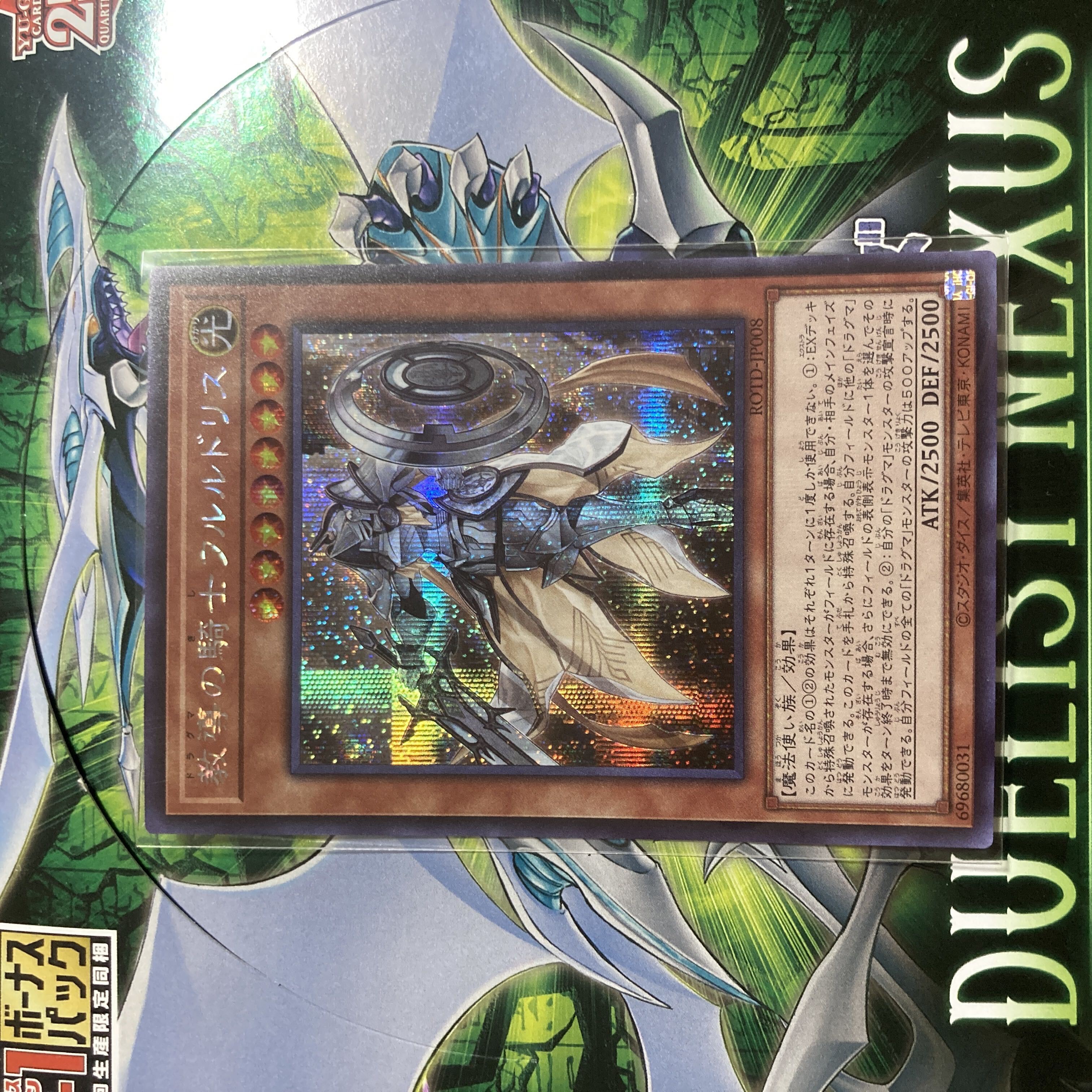 教導の騎士フルルドリス